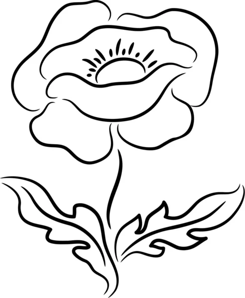 Άνθη παπαρούνας — Διανυσματικό Αρχείο
