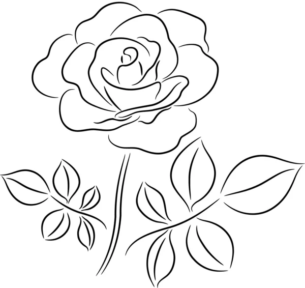 Роуз — стоковий вектор