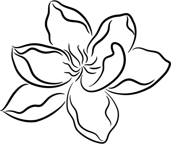 Blomma — Stock vektor