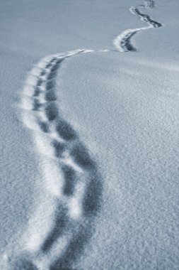 Winter path clipart