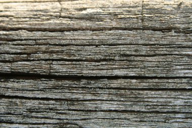 Old wood clipart