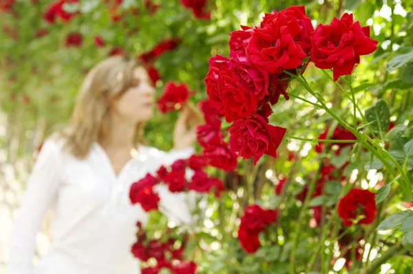 Donna in giardino di rose — Foto Stock