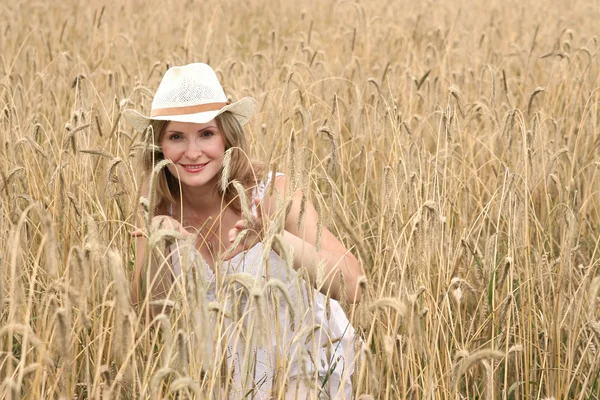 stock image Wheat field