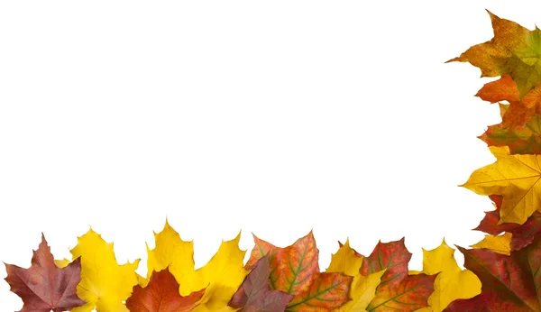 Quadro com folhas multicoloridas — Fotografia de Stock