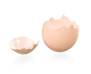 Broken egg shell