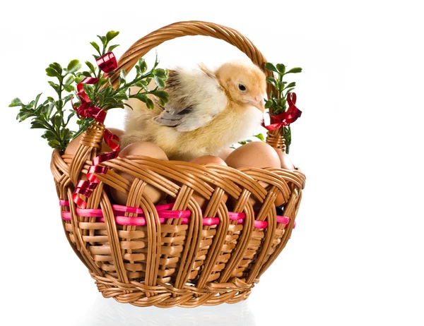 Easter decoration — Stock Photo, Image