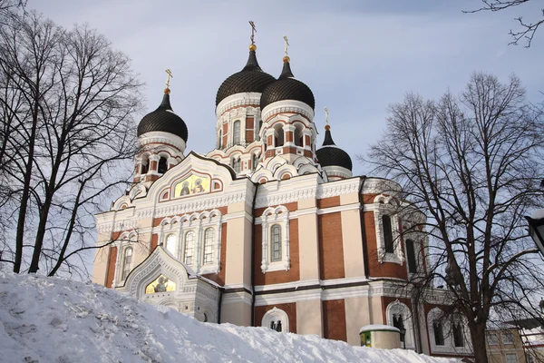 Catedral de Alexandr Nevsky Imágenes de stock libres de derechos