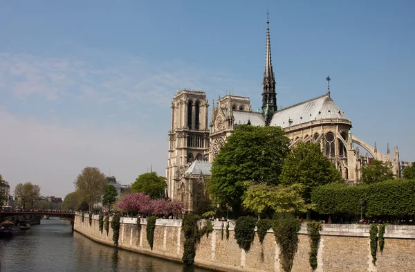 stock image Notre Dame de Paris