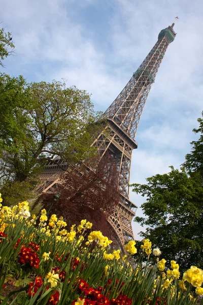 Eiffeltornet med blommor, paris — Stockfoto