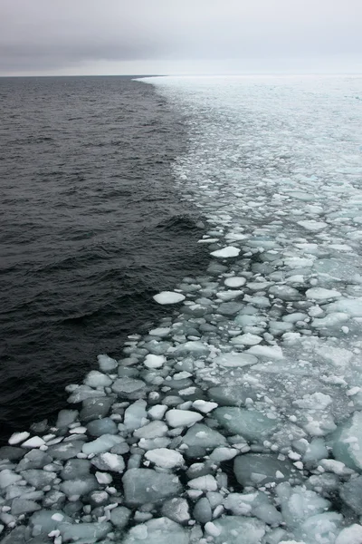 Arktyczny lód morski Zdjęcia Stockowe bez tantiem