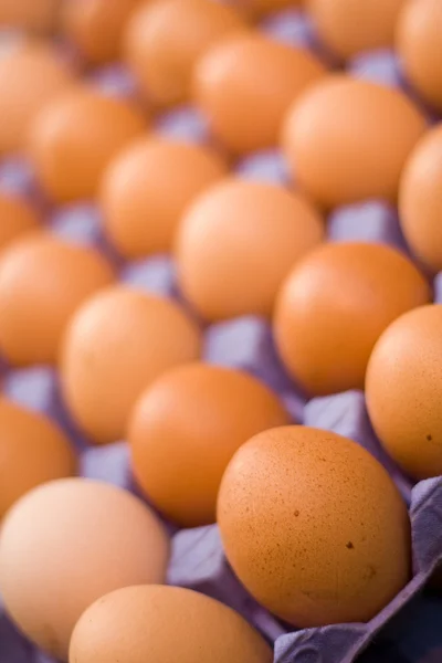 Ouă Imagini stoc fără drepturi de autor