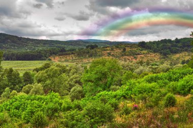 Landscape with rainbow after rain clipart