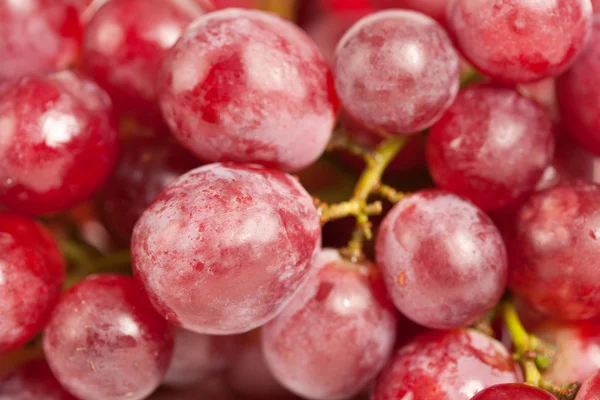 Cluster van heerlijke druiven — Stockfoto