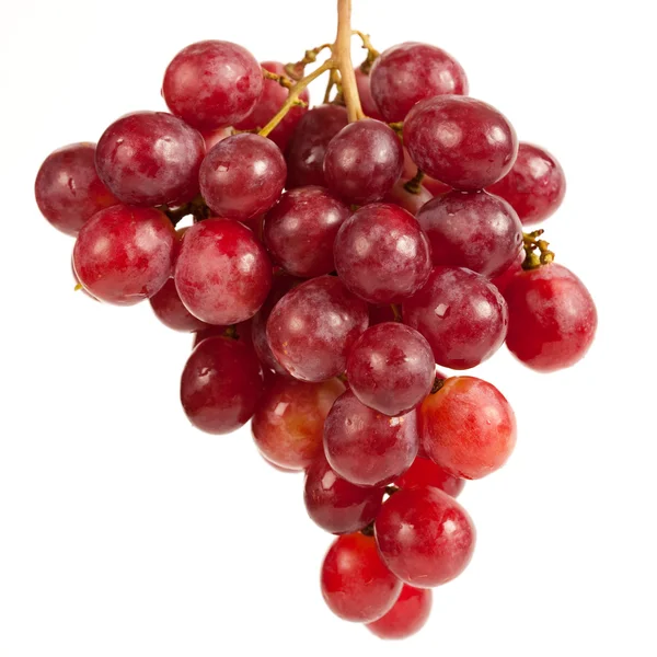 Кластер смачного винограду — стокове фото