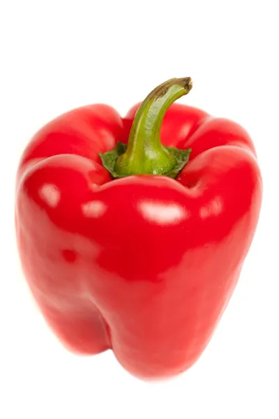Un peperone rosso isolato su bianco — Foto Stock