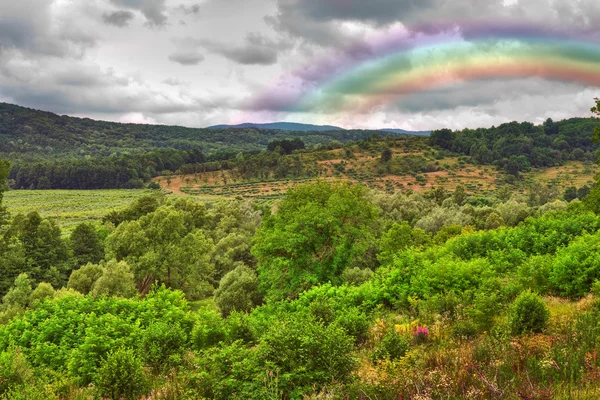 Rainbow ile yağmur sonrası manzara — Stok fotoğraf
