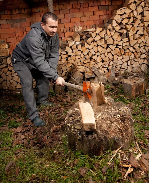 伐木工 — 图库照片