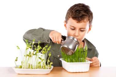 Schoolboy at a practical biology lesson clipart