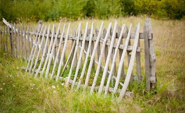 Забор у леса — стоковое фото
