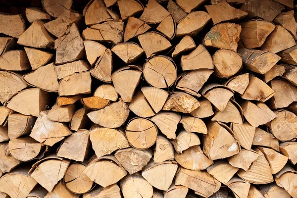 Stack of logs — Stock Photo, Image