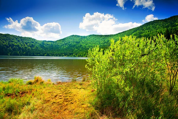 Svatý ana sopečné jezero v Rumunsku — Stock fotografie