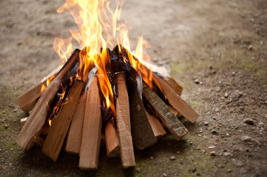 Camp fire clipart