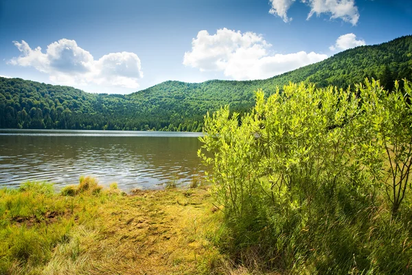 Svatý ana sopečné jezero v Rumunsku — Stock fotografie