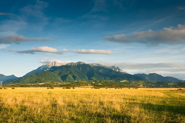 Mountains and grassfield — Stock Photo, Image