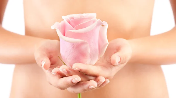 Žena držící růžovou růži — Stock fotografie