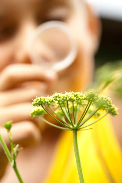 Jongen op zoek naar planten via Vergrootglas — Stockfoto