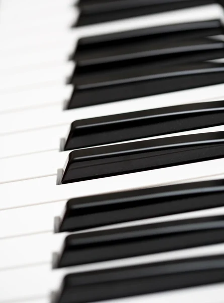 Zongora — Stock Fotó