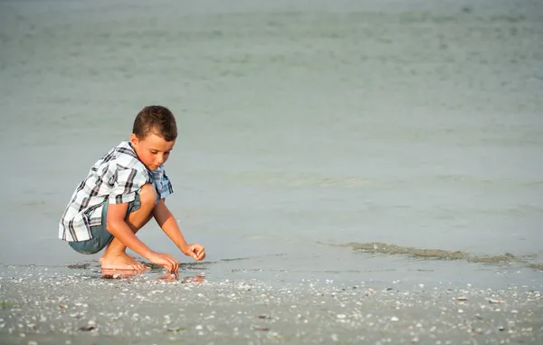 Bambino sulla riva del mare — Foto Stock