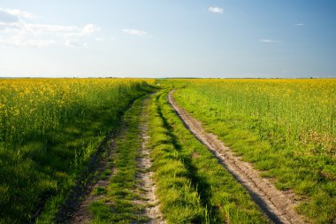 Kırsal yol gün batımında