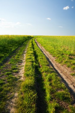 Kırsal yol gün batımında