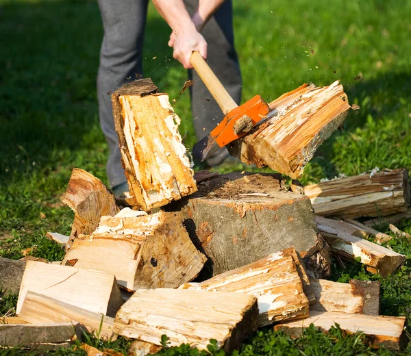 Расщепление древесины — стоковое фото