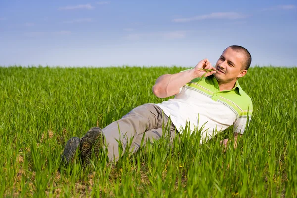 Pohledný muž v pšeničné pole — Stock fotografie
