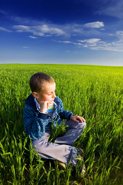 Милый мальчик на пшеничном поле — стоковое фото
