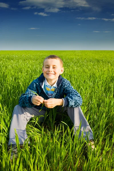 Söt pojke i ett vete fält — Stockfoto