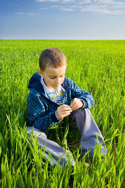 Cutea kid in a wheat field
