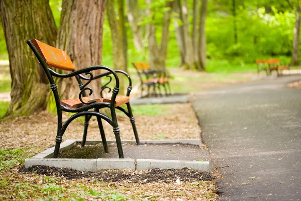 Benches in park — Stock Photo, Image