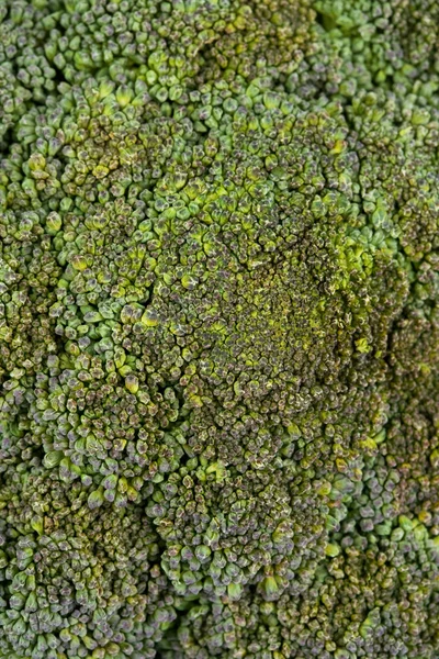 Broccoli närbild — Stockfoto