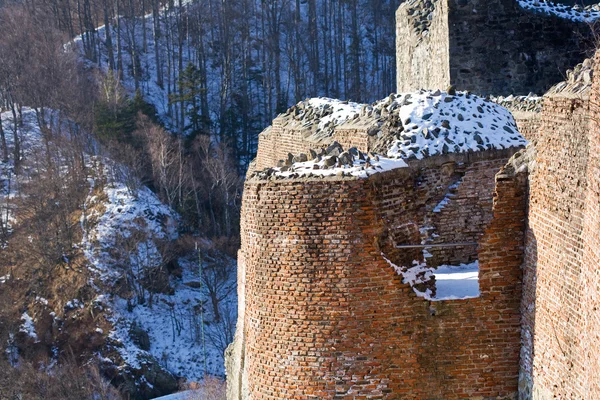 Draculas Festung in Rumänien — Stockfoto