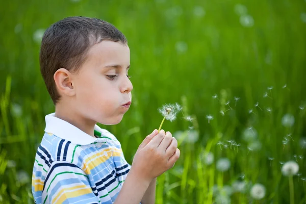 Boy blowing dandelion Royalty Free Stock Photos