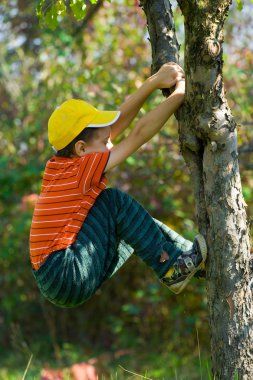 Boy climbing in a tree clipart