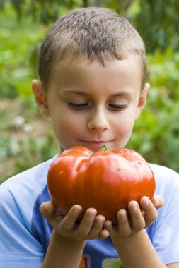 Boy with giant tomato clipart