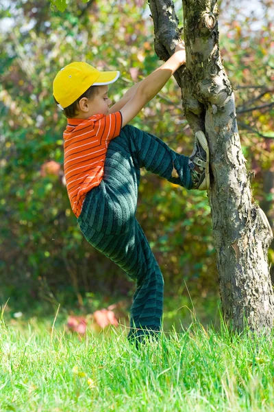 Junge klettert in einen Baum — Stockfoto