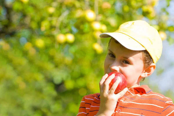 Garçon manger des pommes — Photo