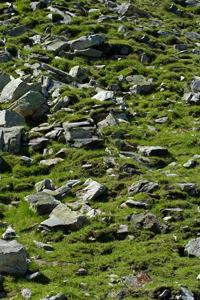 Vallende stenen in gras — Stockfoto