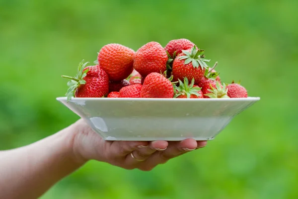 딸기 접시와 손 — 스톡 사진