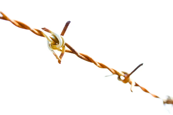 Elszigetelt fehér Barb wire — Stock Fotó